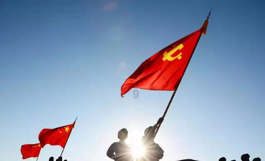 解救金刚鹦鹉